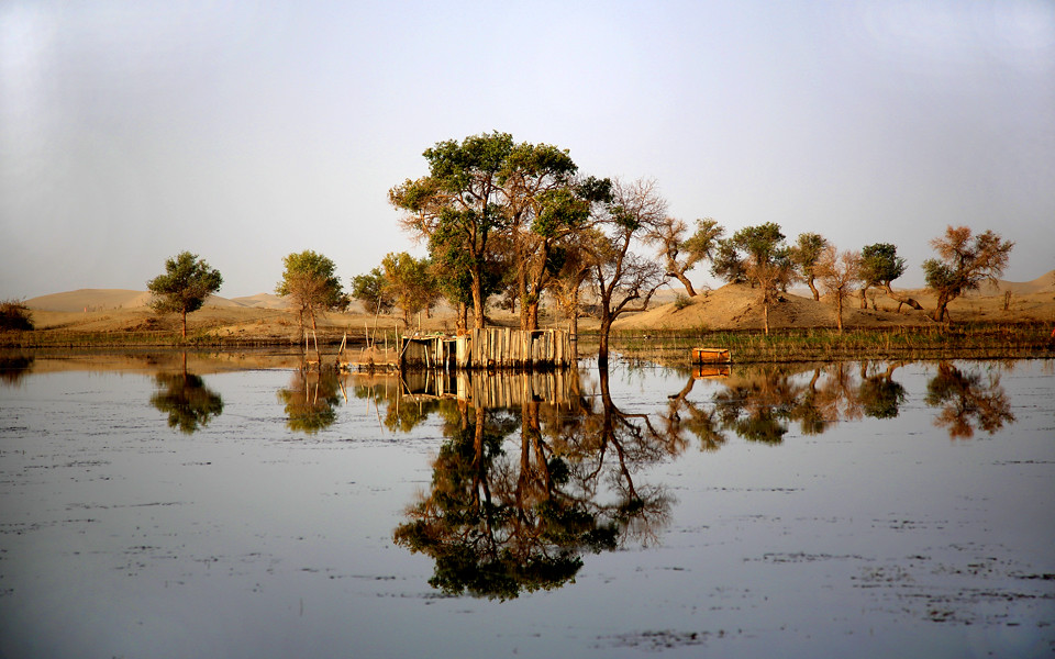 Tarim River