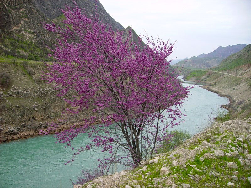 Vakhsh River