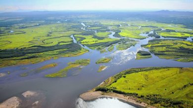 Amur River