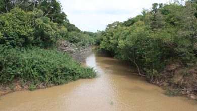 Role of Comoe River