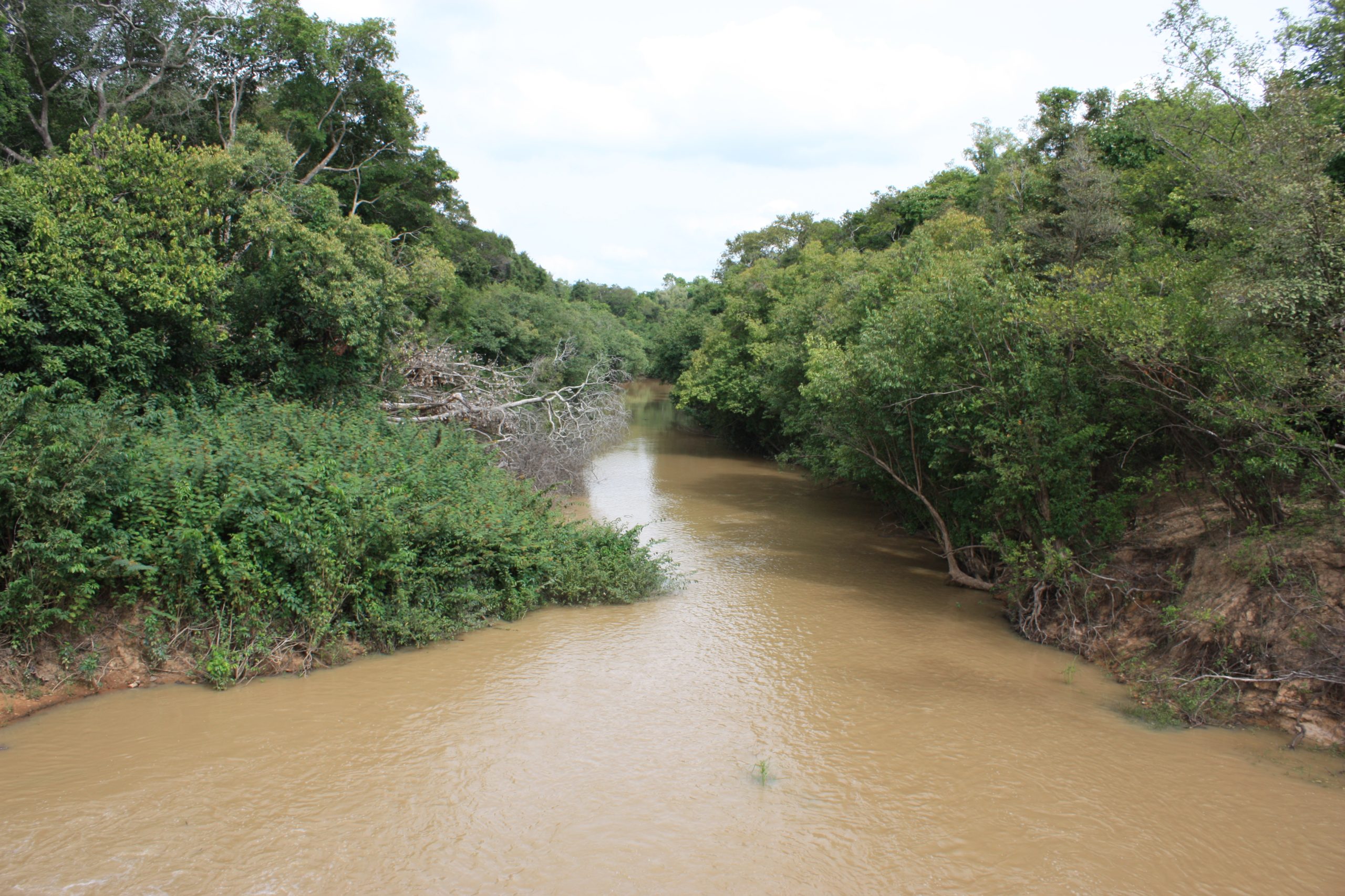 Role of Comoe River