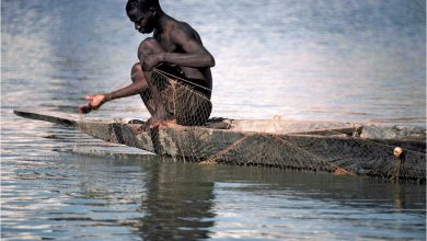 Ecological importance of the Kwango River
