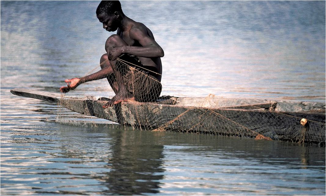 Ecological importance of the Kwango River