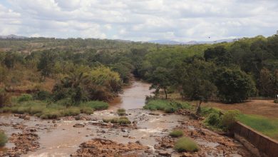 Rovuma River Ecological Significance