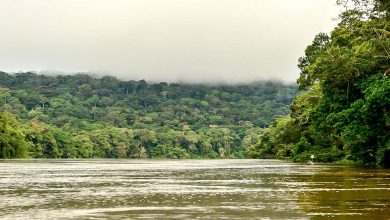 Sangha River Importance