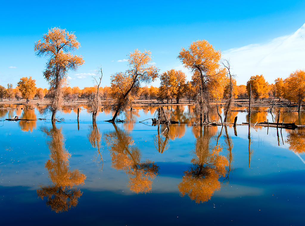 Tarim River