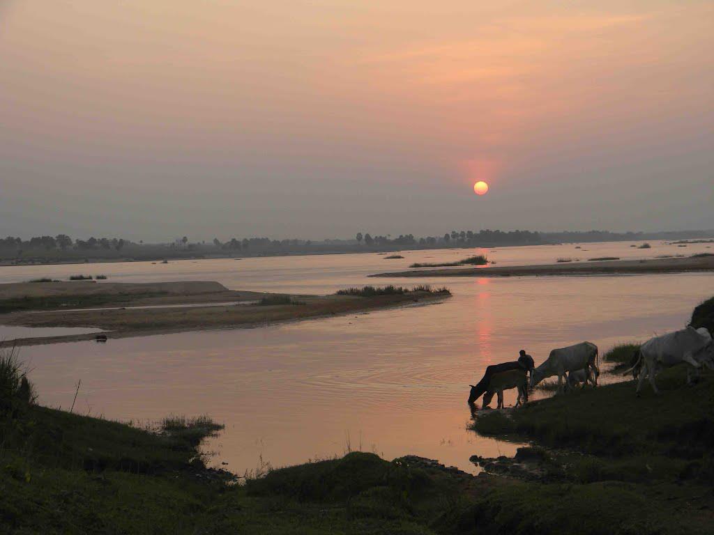 Mayurakshi River