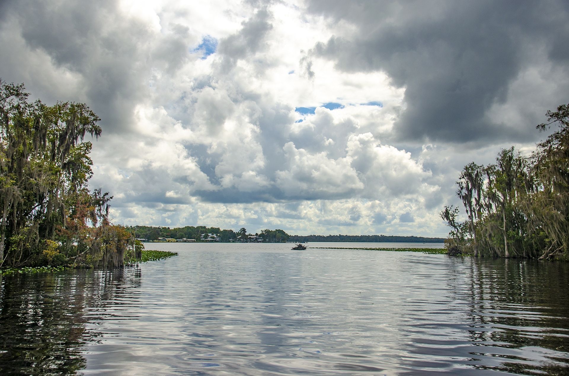 Ocklawaha River 