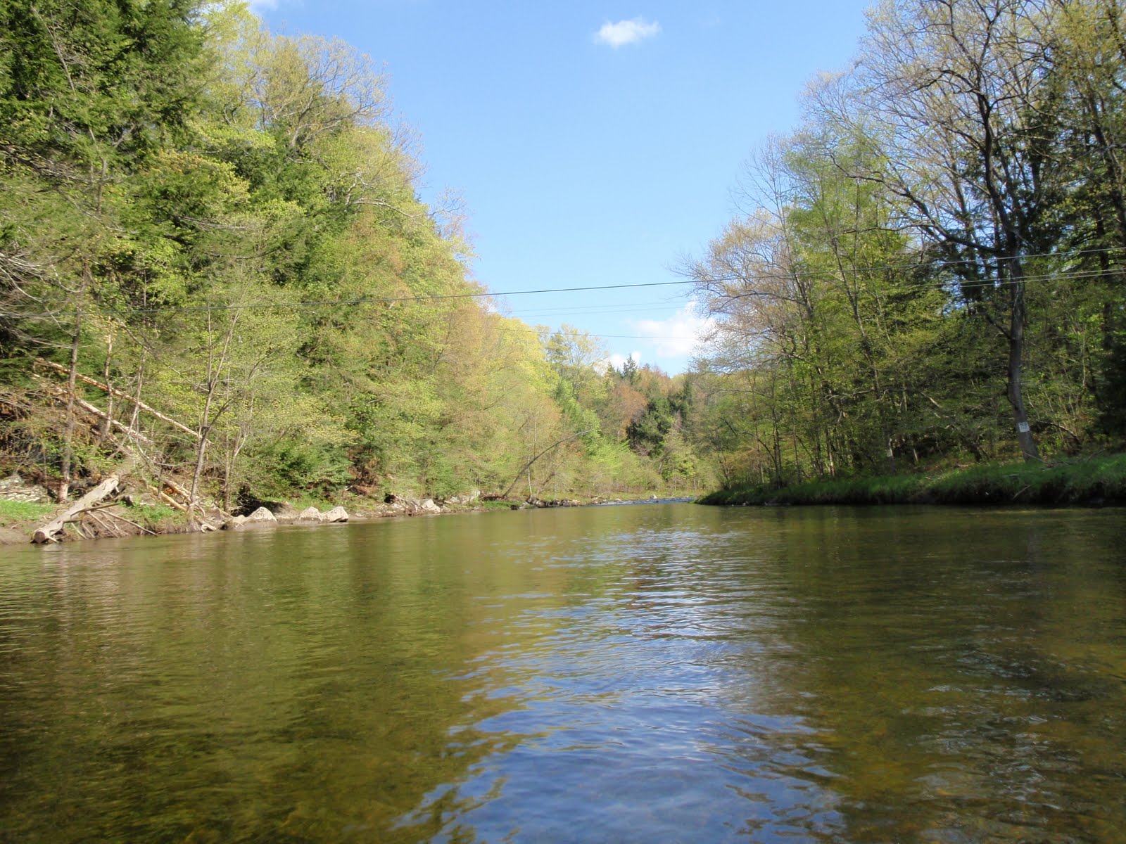 Westfield River 