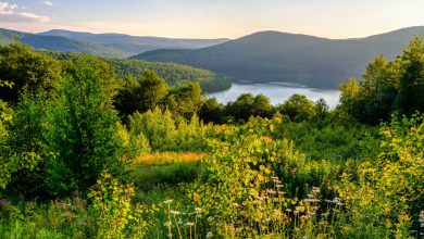 Catskill Mountains 