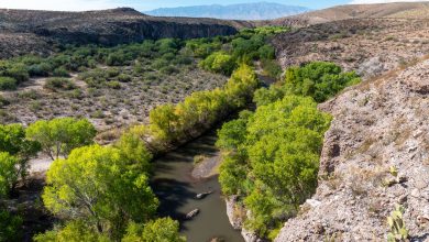 Gila River