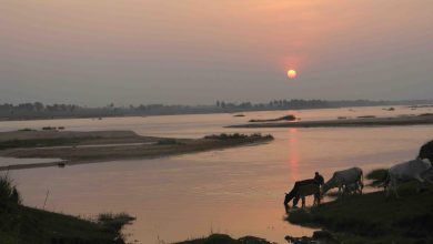 Mayurakshi River