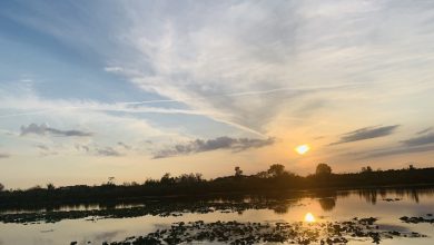 Ocklawaha River 