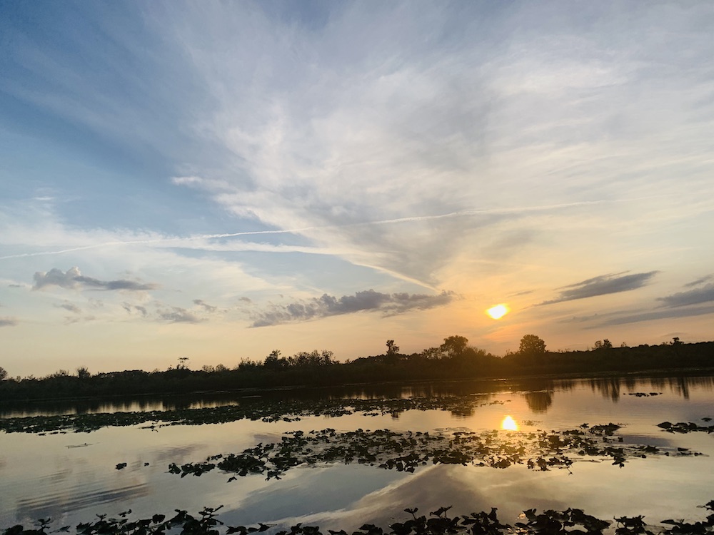 Ocklawaha River 