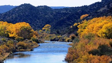 Rio Grande River