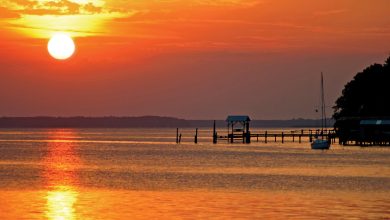 St. Johns River 