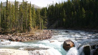 Sunwapta River