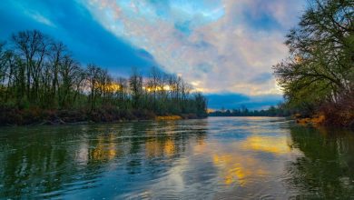 Willamette River