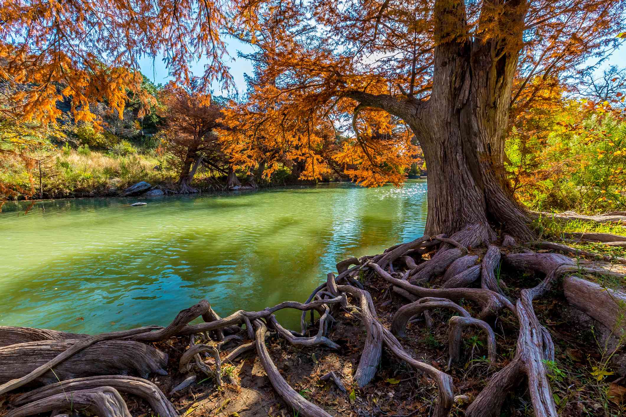 Guadalupe River