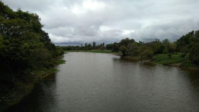 Pilcomayo River 