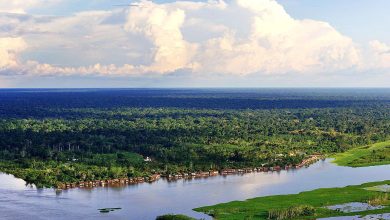 Rio Negro River  