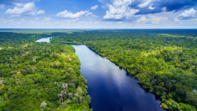 Amazon River 