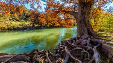 Guadalupe River