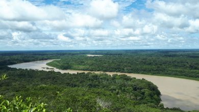 Guaviare River