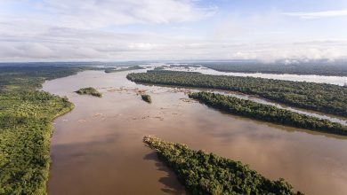 Xingu River  