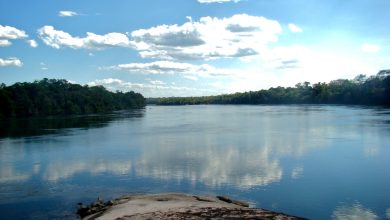 Juruena River