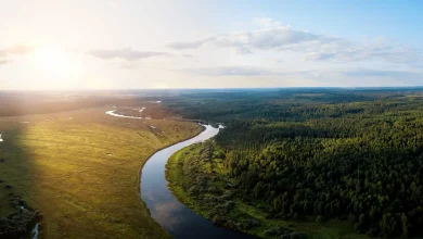 Ucayali River