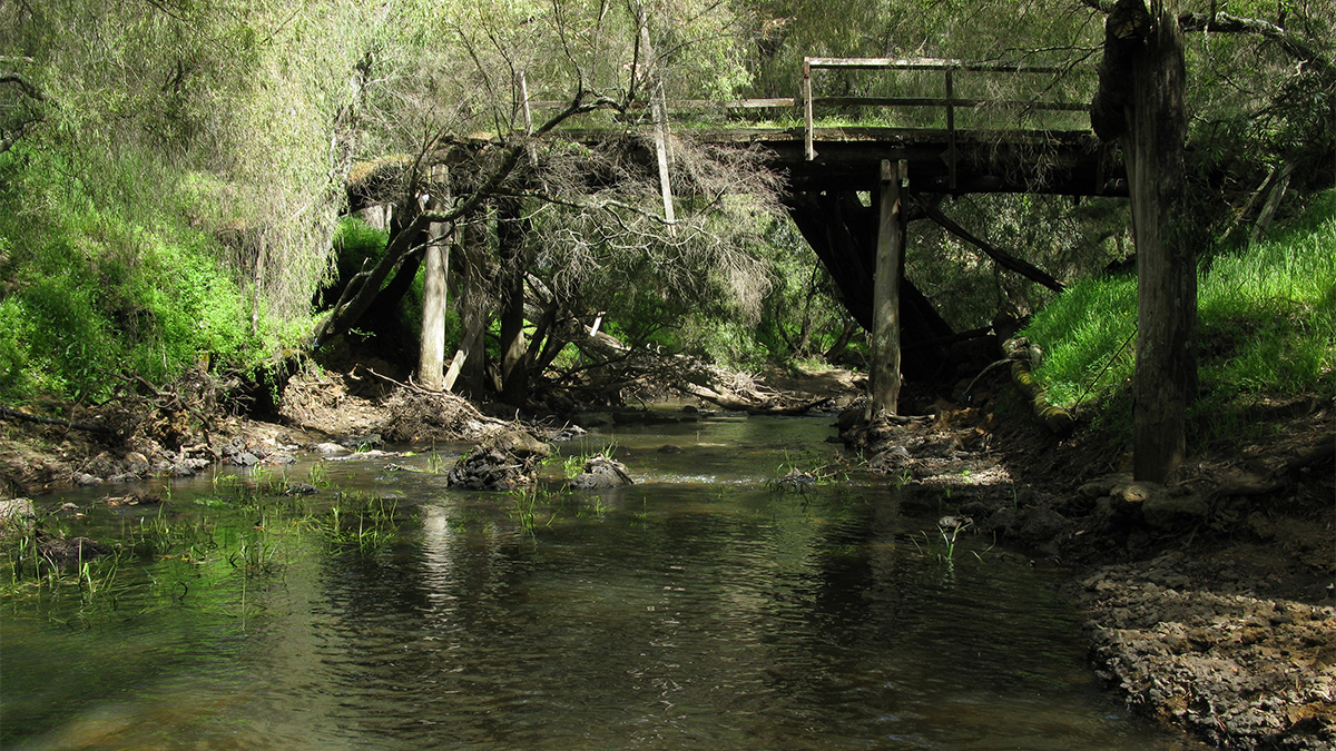 Ferguson River 