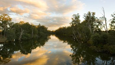 Goulburn River