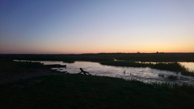 Narew River