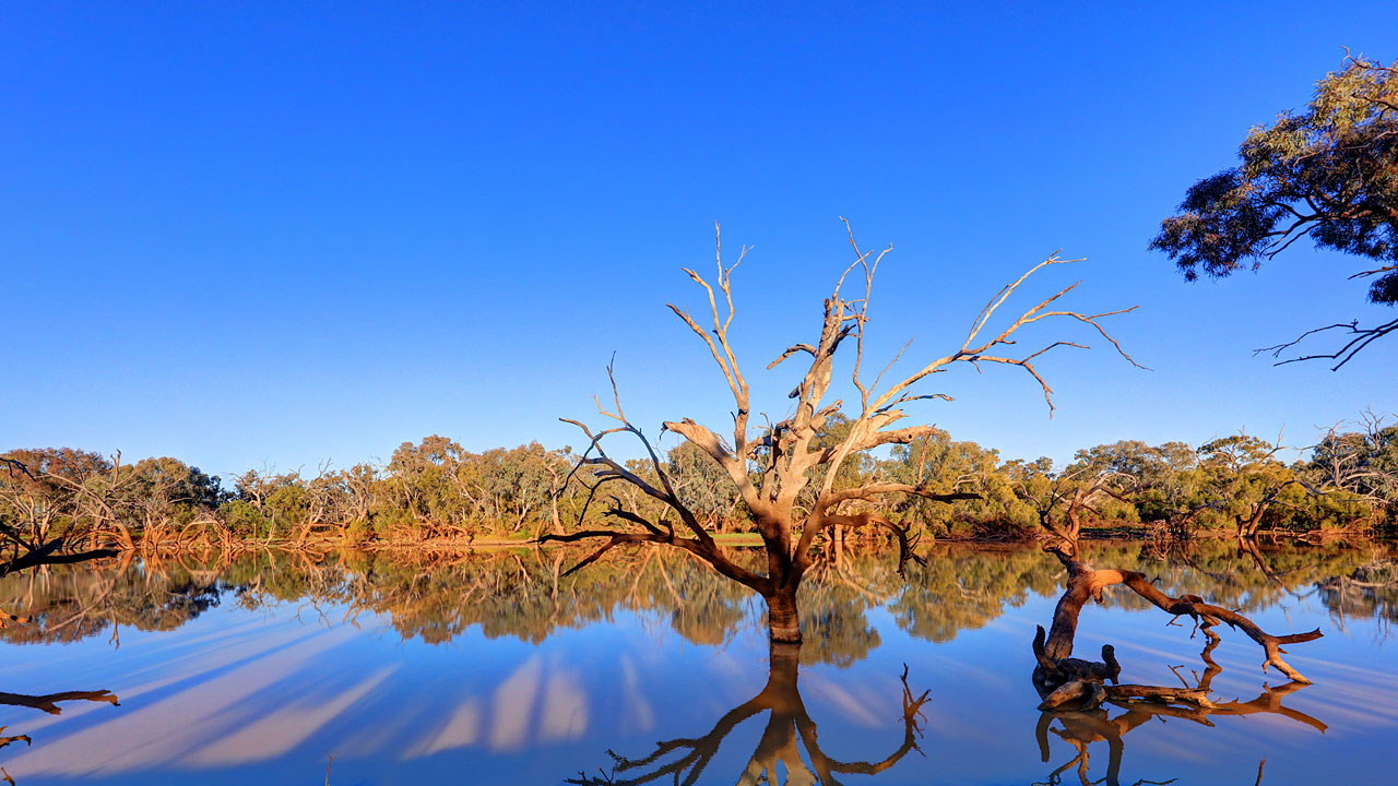 Warrego River 