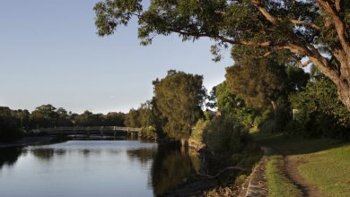 Cooks River