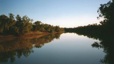 Cooper Creek River 