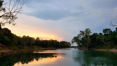 Daly River