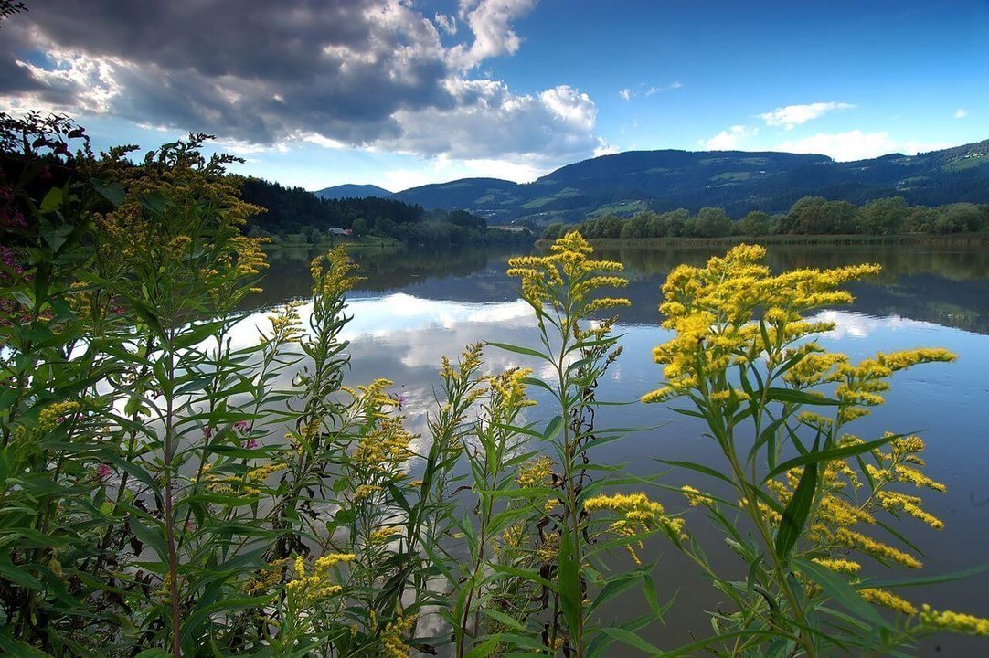 Drava River