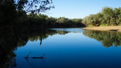 Fitzroy River