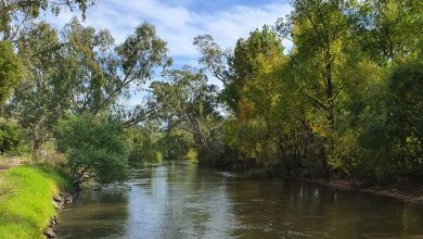 Kiewa River