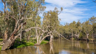 Lachlan River