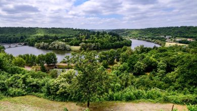 Meurthe River