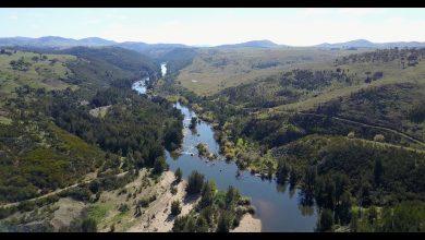 Molonglo River