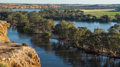 Murray River