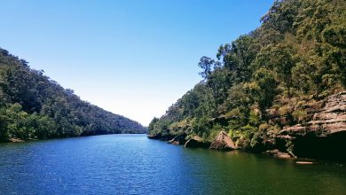 Nepean River 