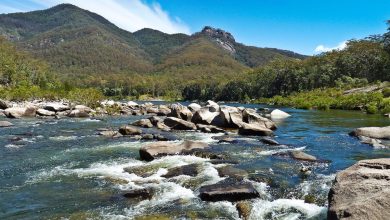 Nymboida River  