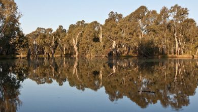 Ovens River