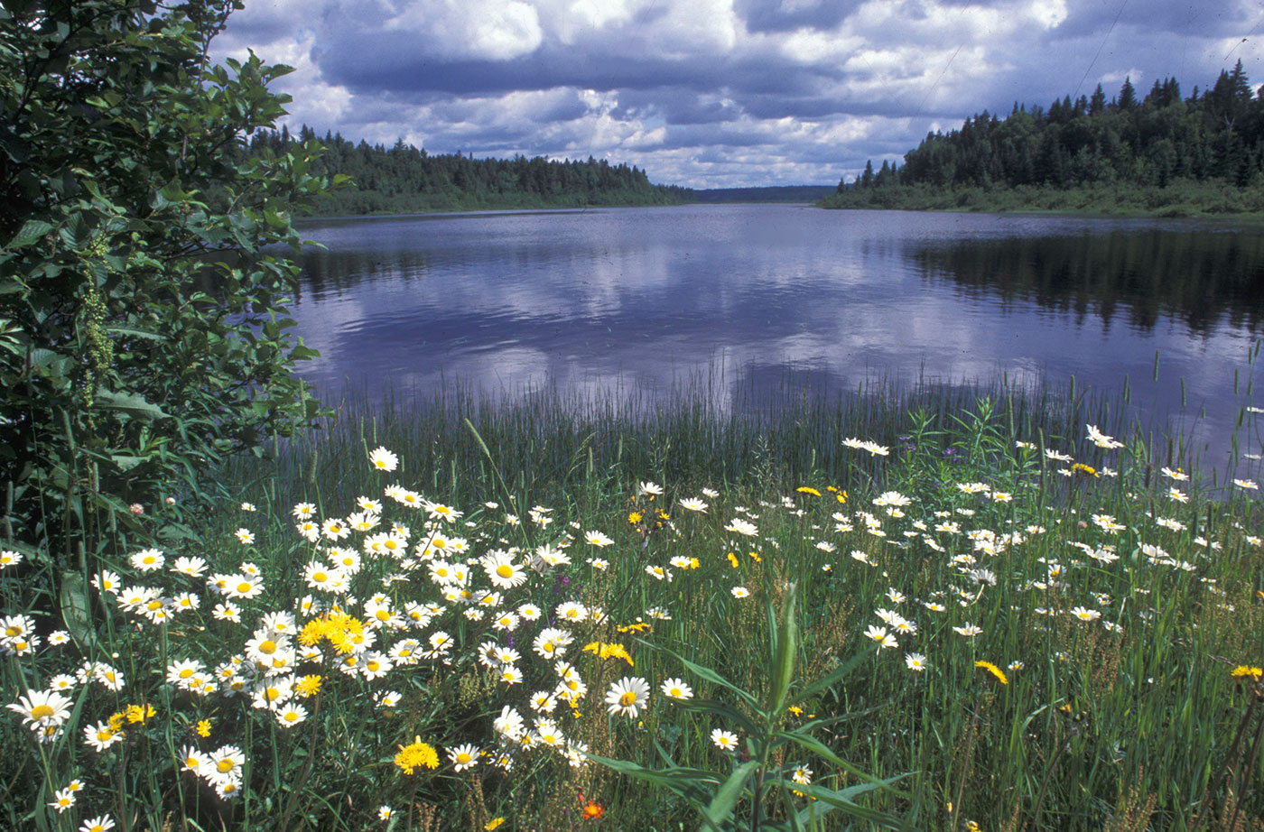 Allagash River