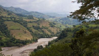Cauca River
